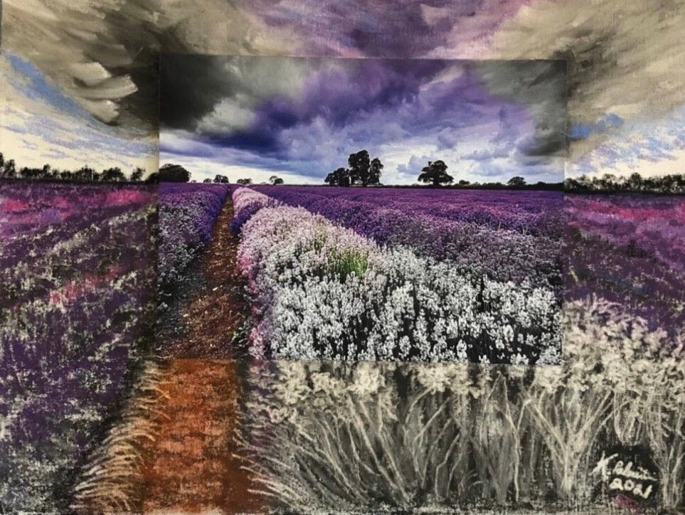Vibrant lavender fields stretch towards a cloudy sky, with a dirt path weaving through clusters of purple and white flowers, capturing a serene landscape.